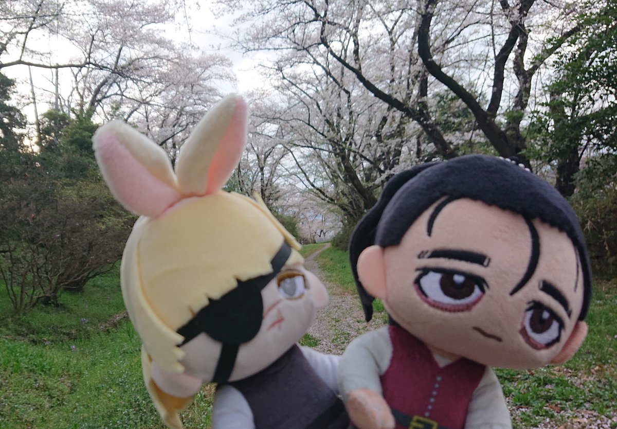 きのか tweet media