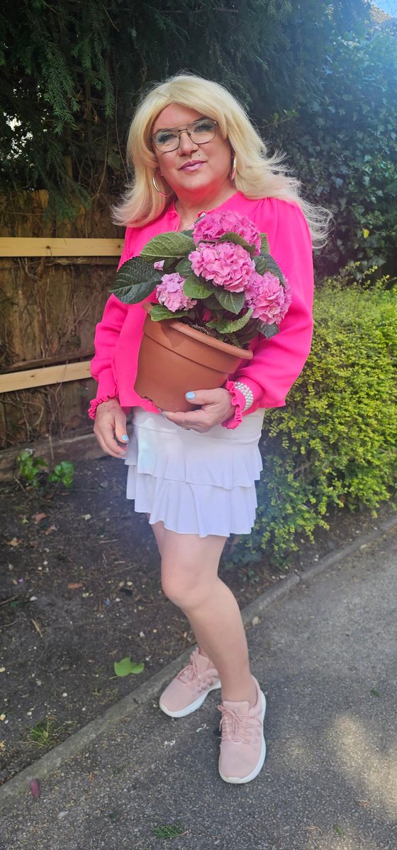 Chateau Femme tweet media