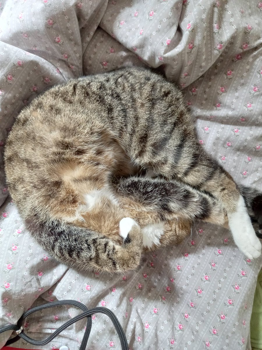 Erde&Sand tweet media