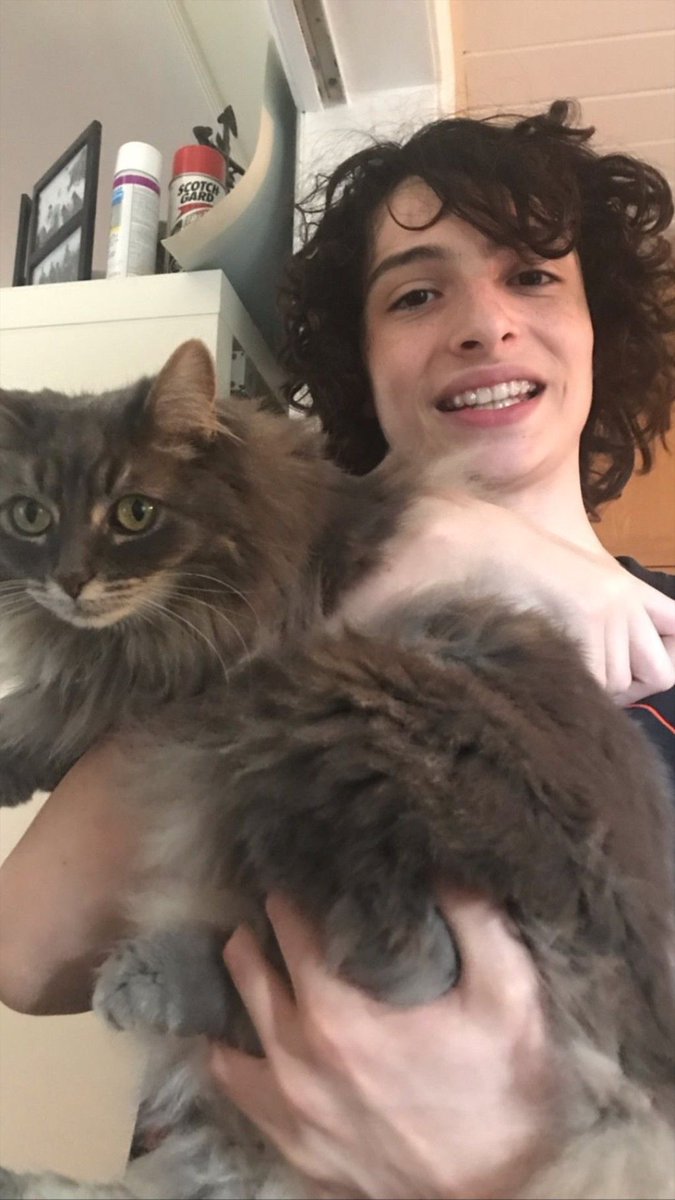 raven🐠 𝒎𝒊𝒌𝒆 𝒃𝒊𝒓𝒕𝒉𝒅𝒂𝒚 𝒘𝒆𝒆𝒌 tweet media