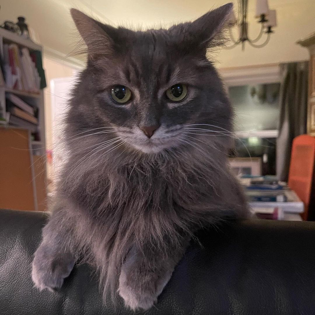 raven🐠 𝒎𝒊𝒌𝒆 𝒃𝒊𝒓𝒕𝒉𝒅𝒂𝒚 𝒘𝒆𝒆𝒌 tweet media