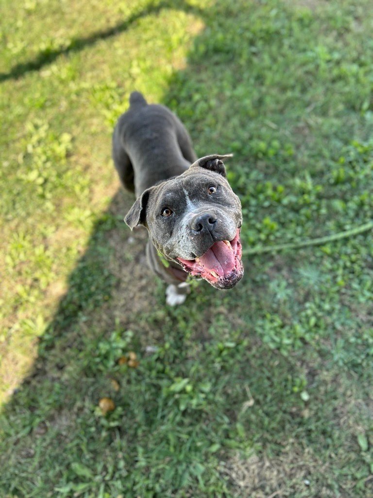 Lisa Brabson. tweet media