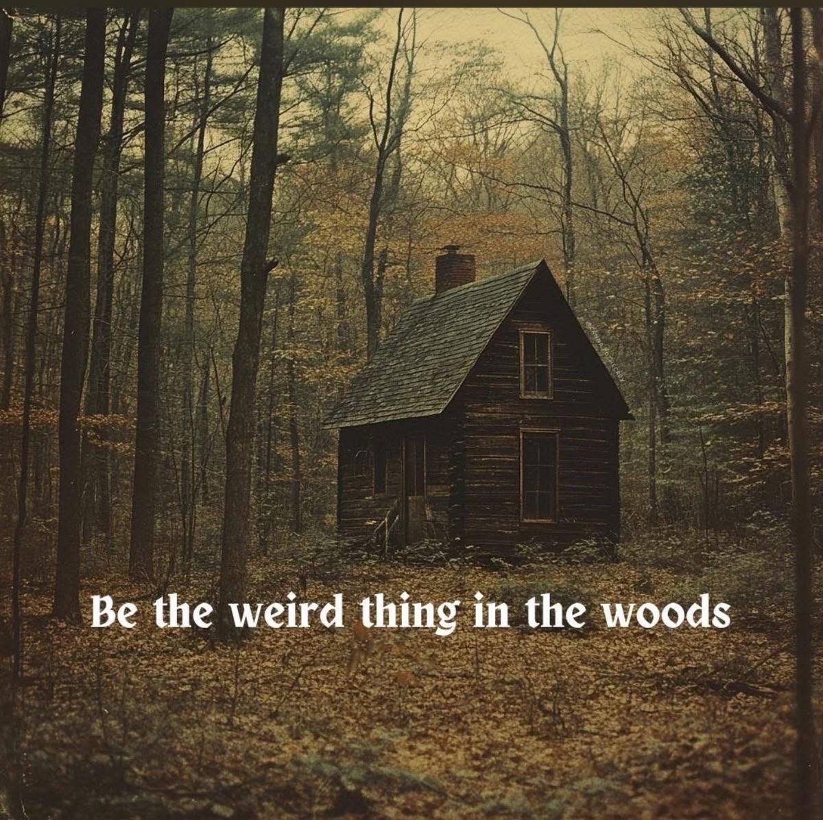 thespookygirll's tweet photo. always https://t.co/S69mHgbn8J