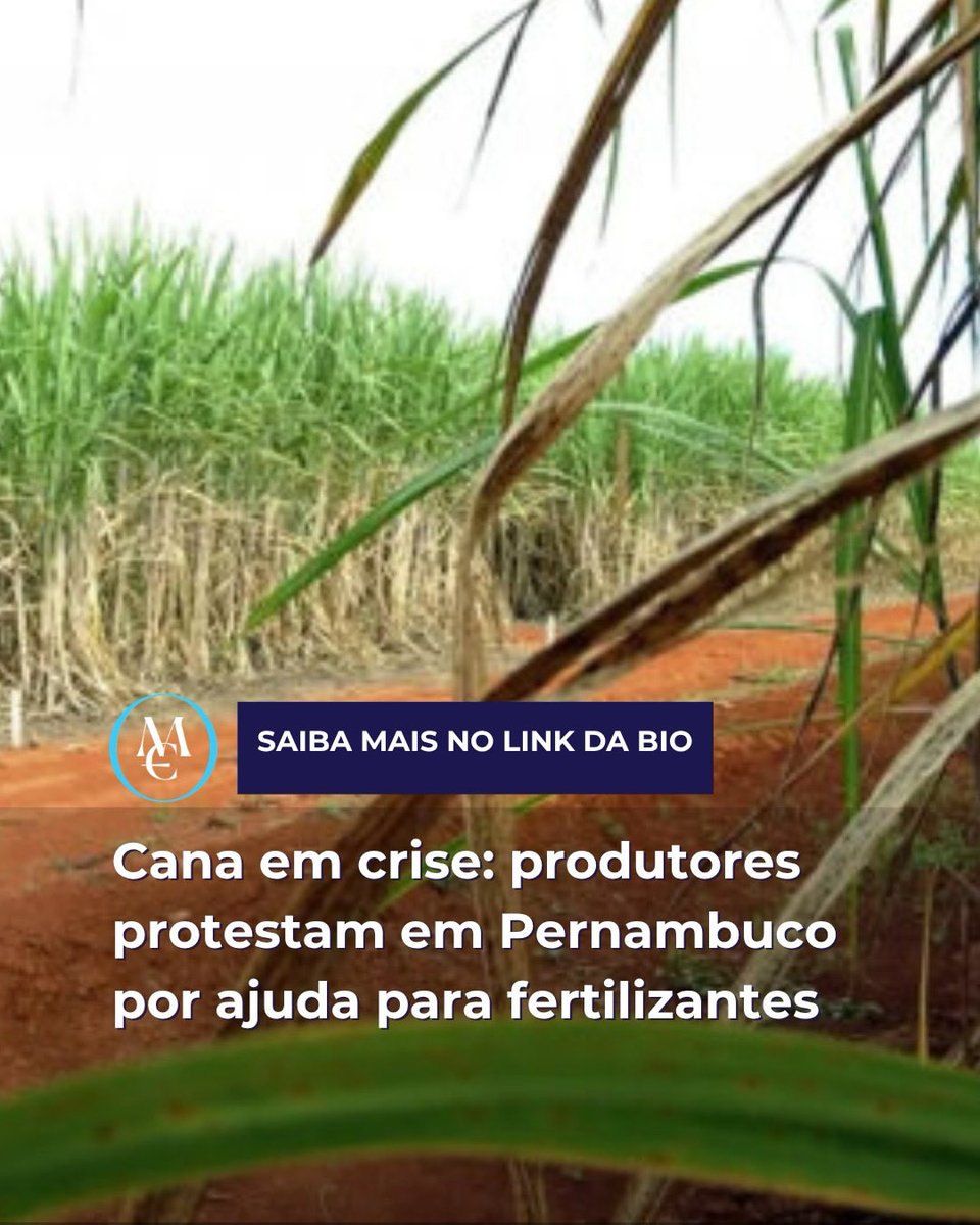 moveconomico's tweet photo. Cana em crise: produtores protestam em Pernambuco por ajuda para fertilizantes https://t.co/AA3uOJkUMC https://t.co/N51vDD8Qm1