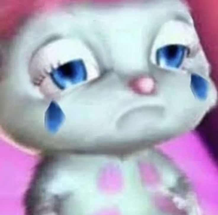 abinin 𓂃⊹ 🥼 tweet media