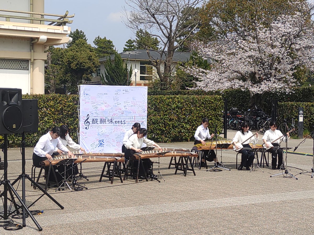 daigomeets's tweet photo. 【京都橘大学箏曲部】 https://t.co/QsbqRoSKER