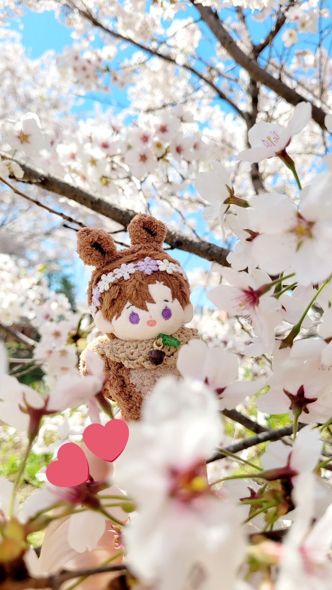 naro_akam's tweet photo. 청서람쥐 세예의 봄나들이🐿🐿🧡💜🌸 https://t.co/7RkctBh1Z6