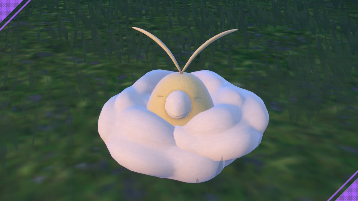 날개달린 솜사탕