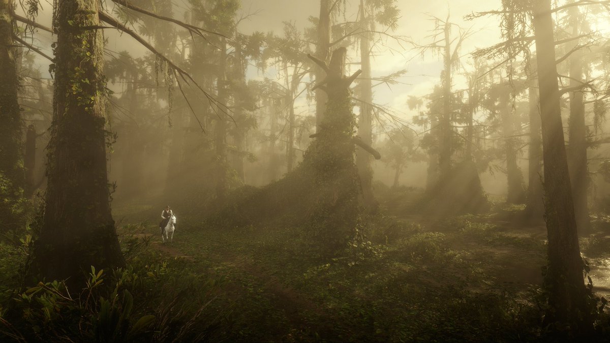 Annie 🌸 tweet media