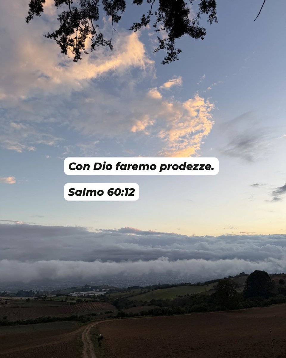 J. Daniel Fernández S tweet media