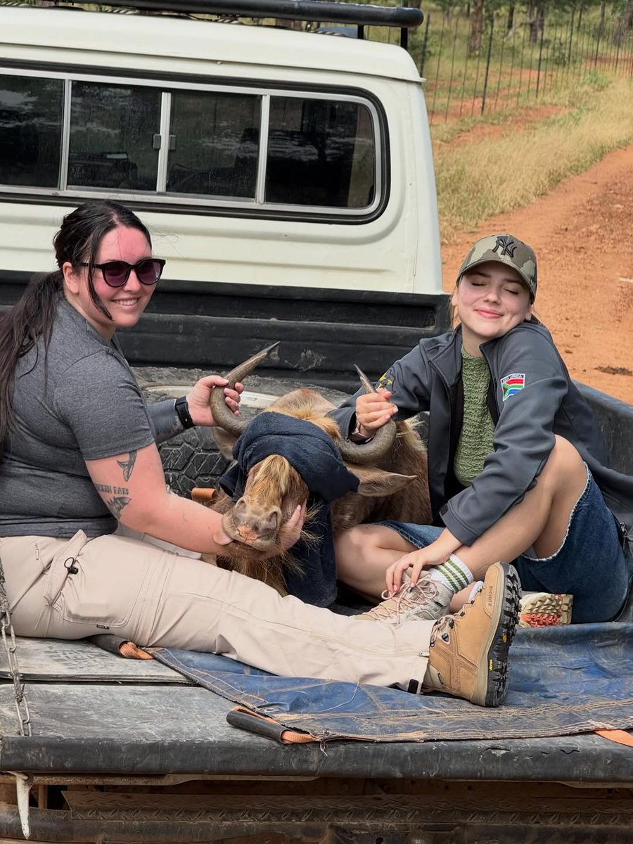 NA CZASIE tweet media