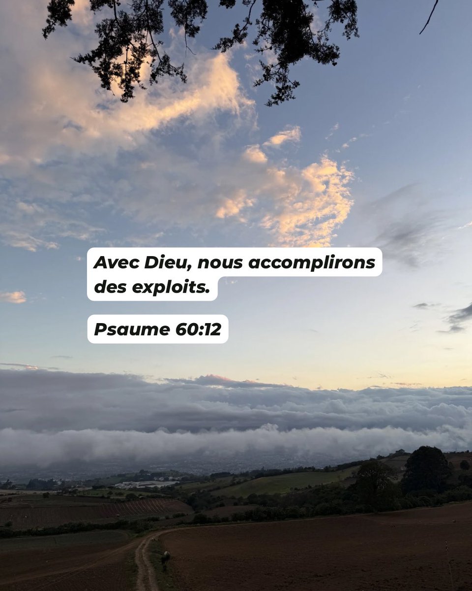 J. Daniel Fernández S tweet media