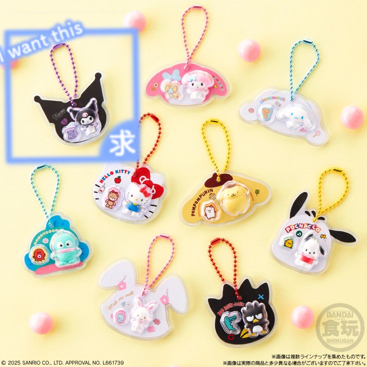 まろにー.交換 tweet media