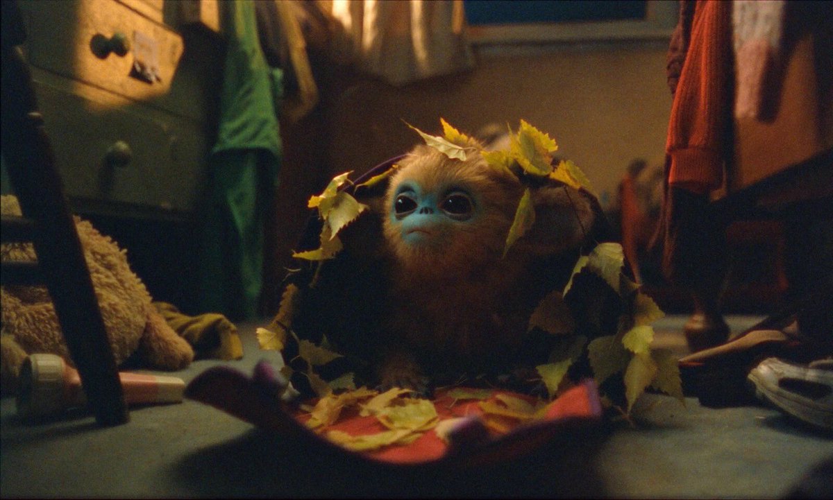 𝑾𝑵𝑻 tweet media