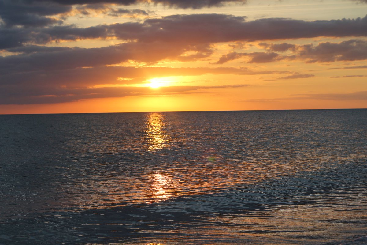 briankjohnson1's tweet image. Good morning from the sunny state of Florida! ☀️ The ocean breeze is just perfect today, and I'm so glad to be here! Let the good times roll! #FloridaLife #MorningVibes #SunshineState
