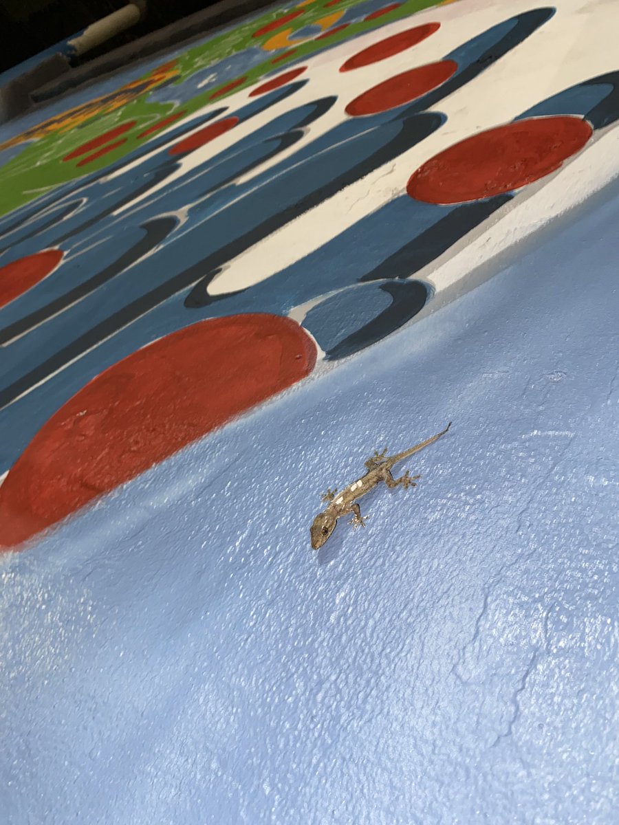 SIRRILLUSTRATOR!! tweet media