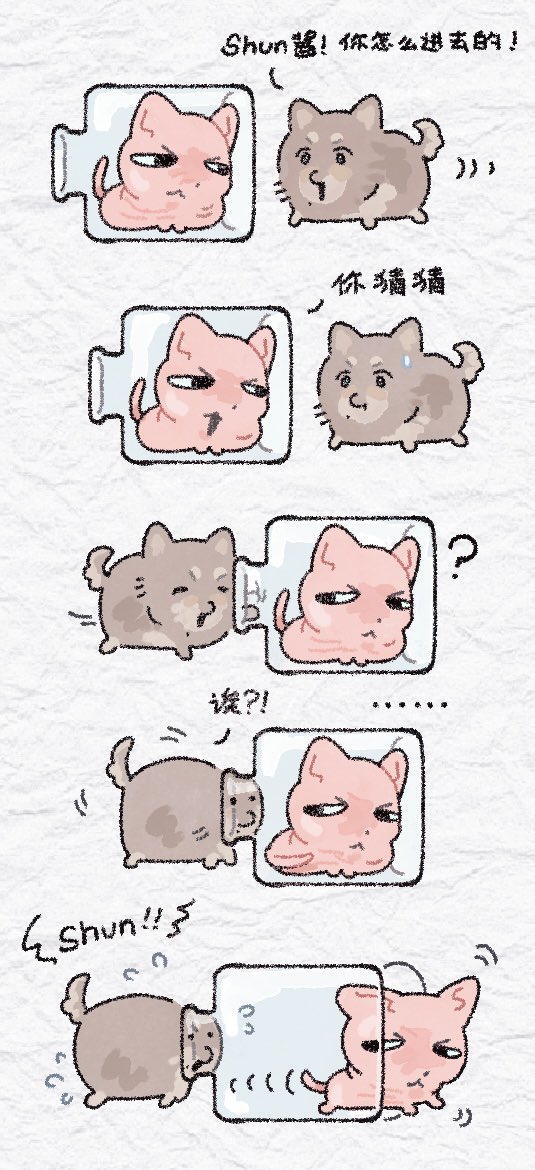RmS122_2's tweet photo. 🐱·🐶·🐰 https://t.co/ZqjN36gNKV