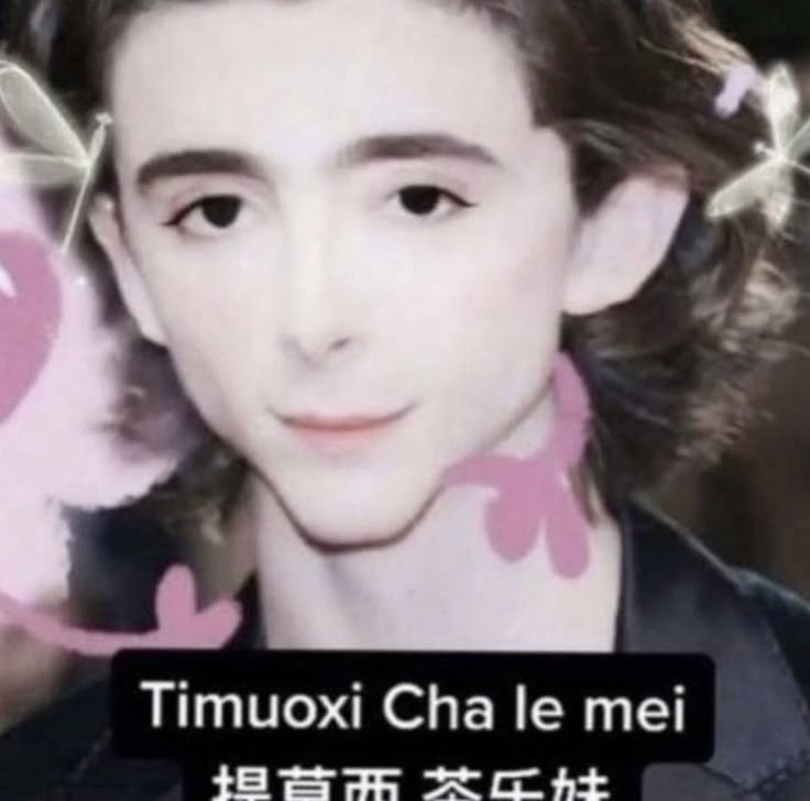 lesbian naib 𐔌՞ ܸ.ˬ.ܸ՞𐦯 tweet media