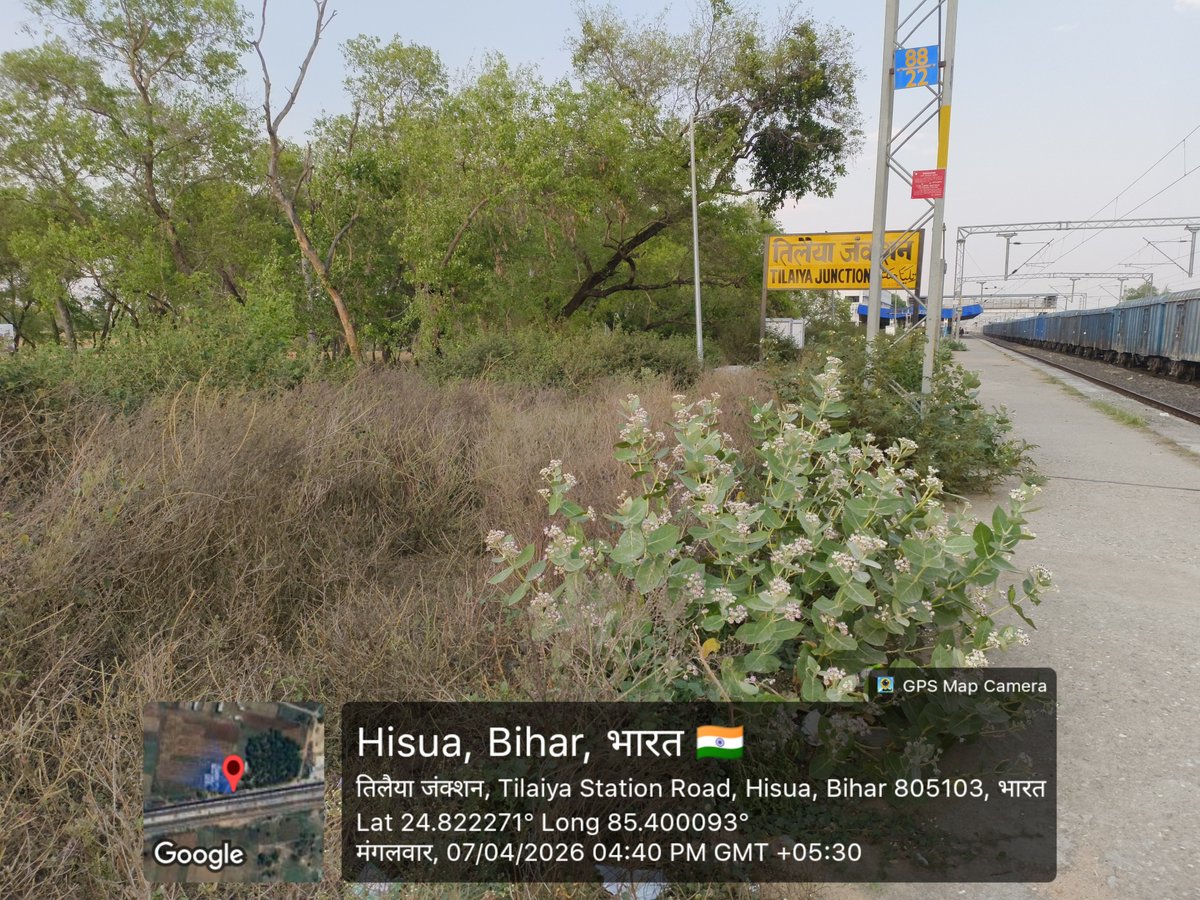 Tilaiya Junction Rail User (Railvisual) tweet media