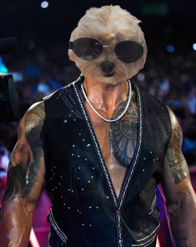 julian98 tweet media