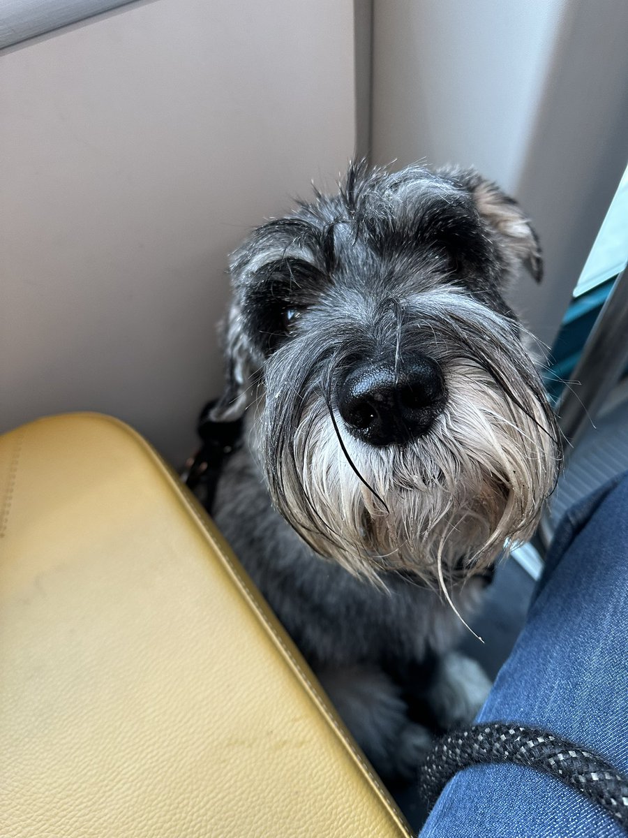 Antti Sallinen 🇫🇮🇺🇦 tweet media