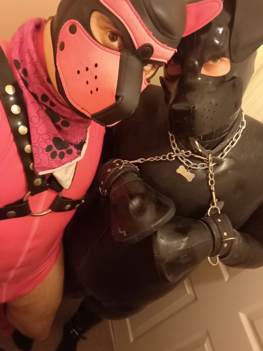 WRUFF tweet media