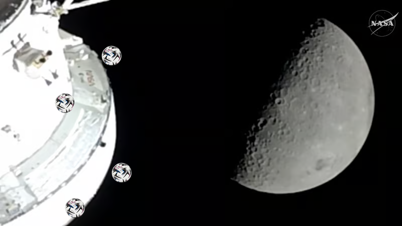 Winamax Sport 🔞 tweet media