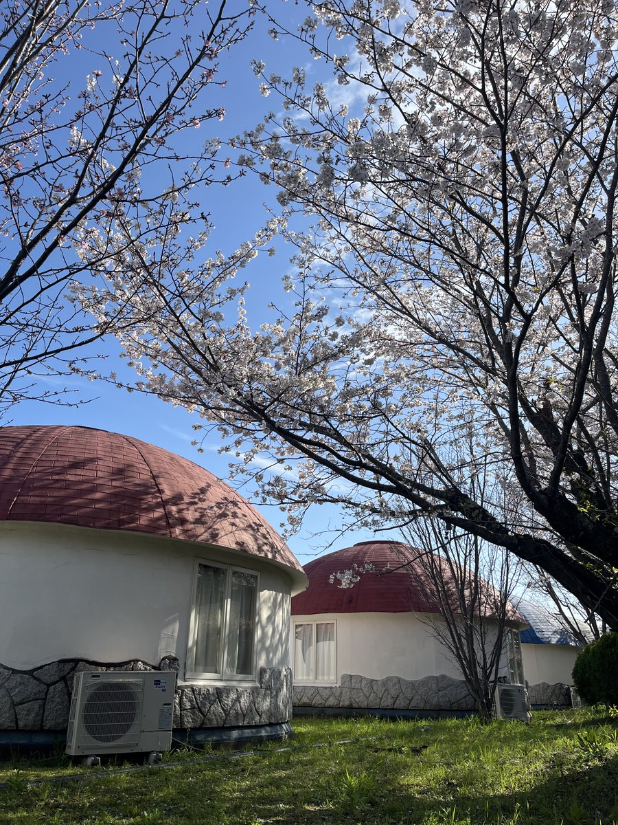 TAKANOMA tweet media