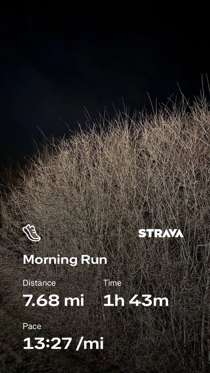 SNevitt's tweet image. Check out my run on Strava.
#nevstrongtampa #runningstreakdaily #whitehorsebeachrunner