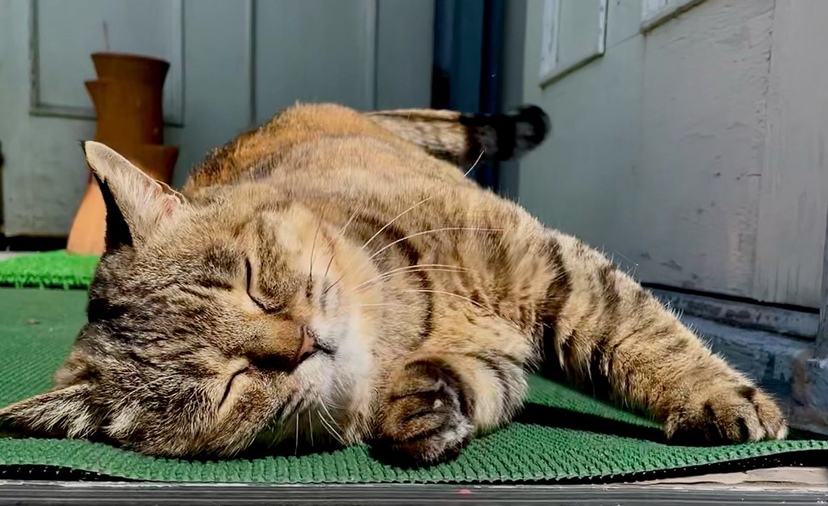 山口 一郎 tweet media