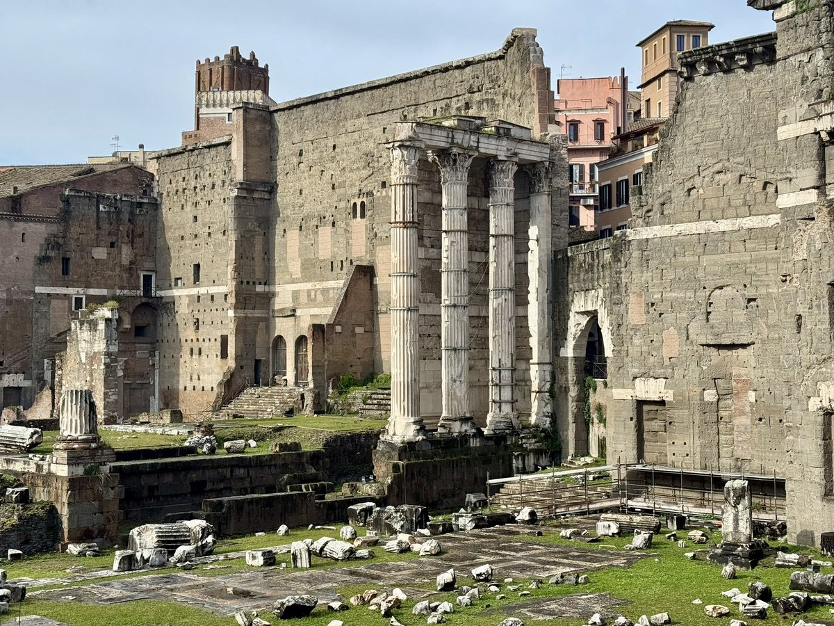 Maxim Vos tweet media