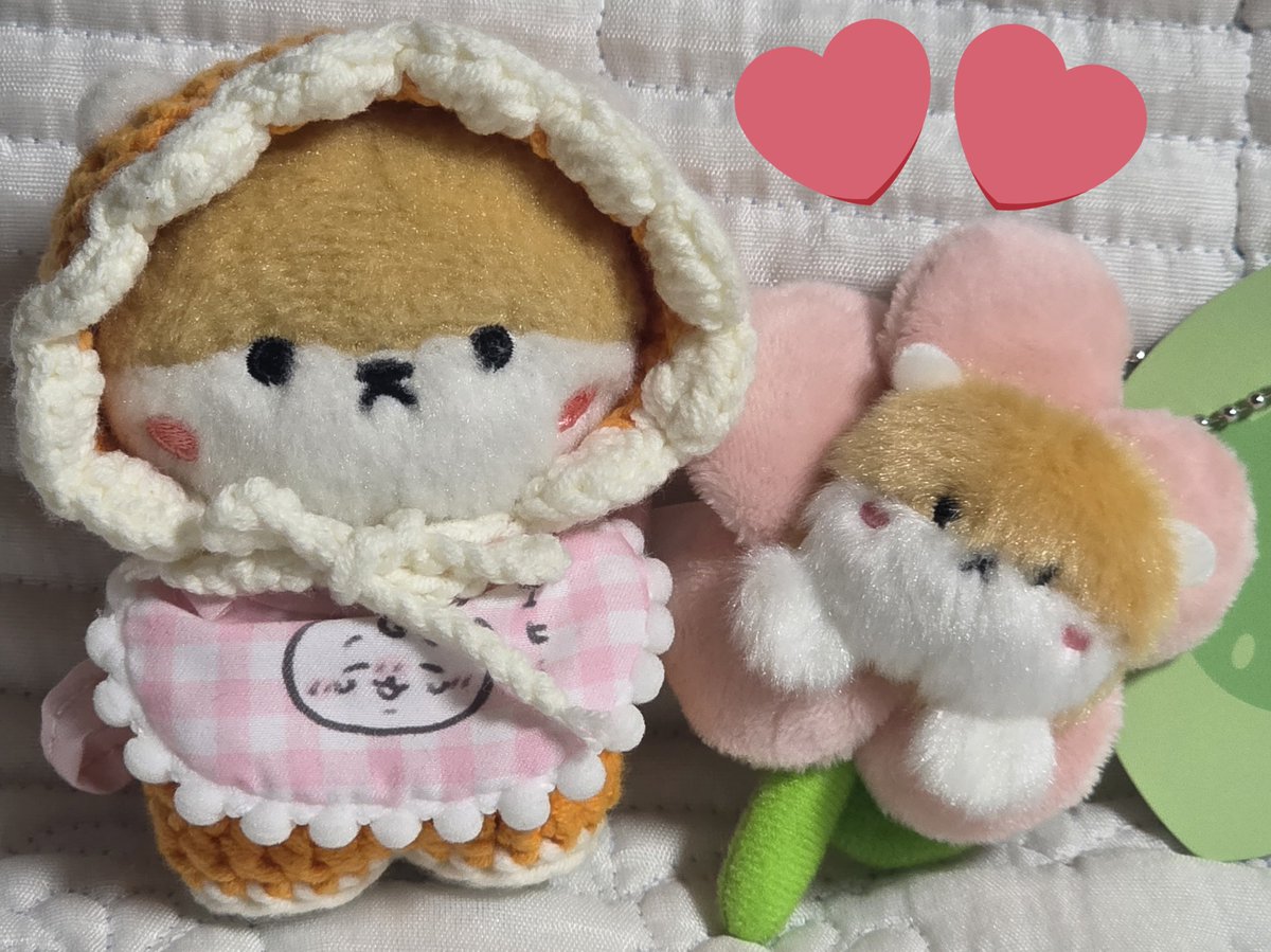 몬실이ෆ tweet media