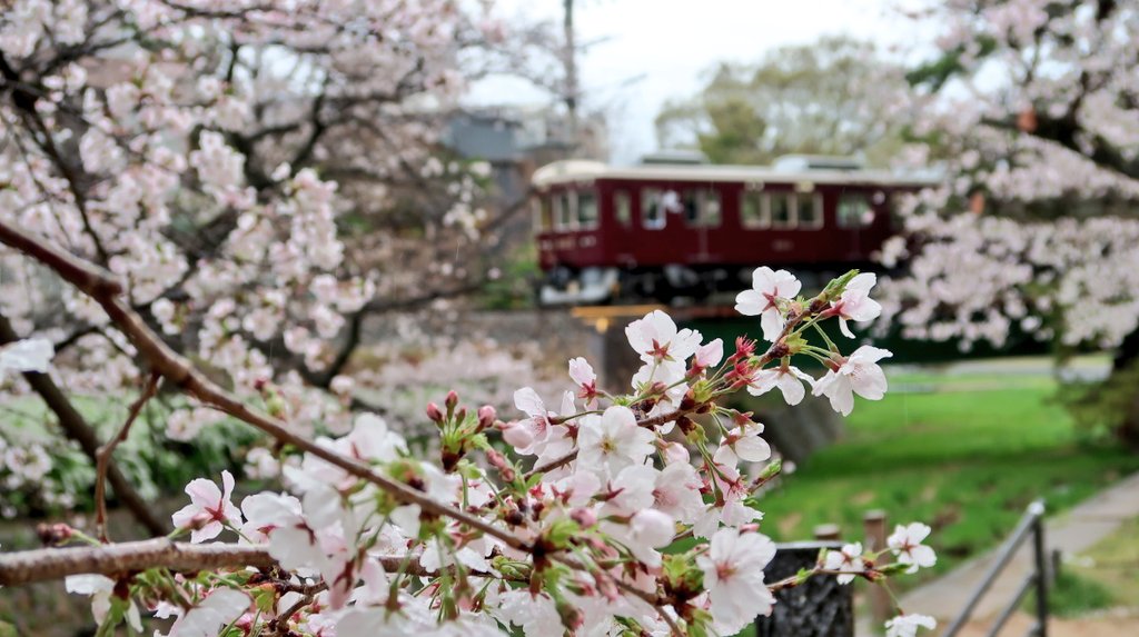 垂水千佳(気象予報士／防災士／健康気象アドバイザー) tweet media