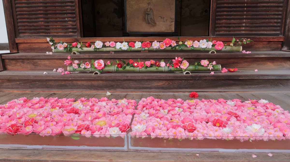 垂水千佳(気象予報士／防災士／健康気象アドバイザー) tweet media