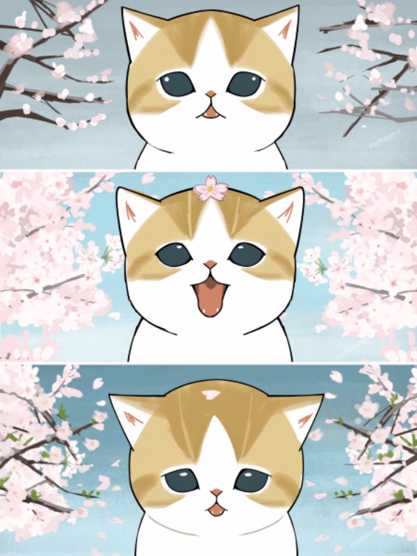 ぢゅの🐈 tweet media