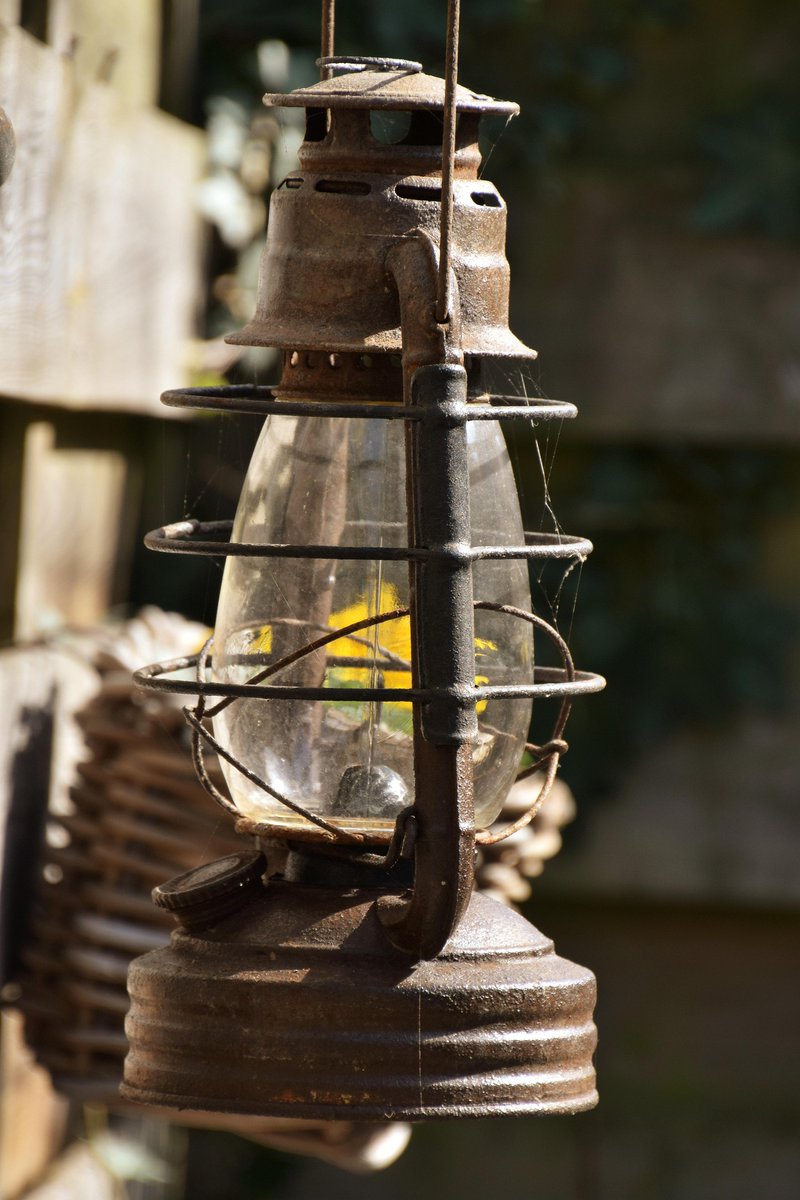 SoftHomeGarden's tweet image. GardenLighting
#OutdoorLighting
#LandscapeLighting
#GardenDesign
#OutdoorDecor
#BackyardDesign
#GardenInspiration