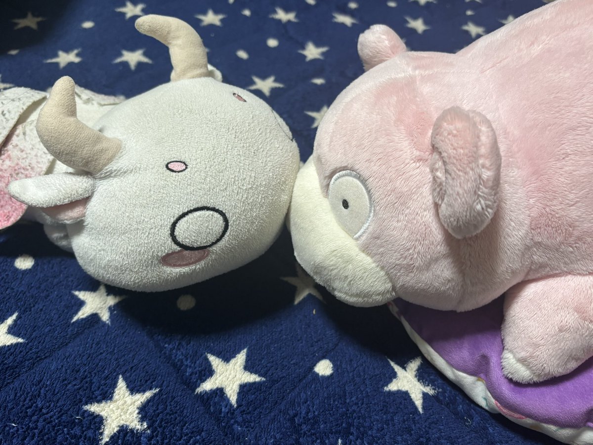 じゃくさんせい tweet media