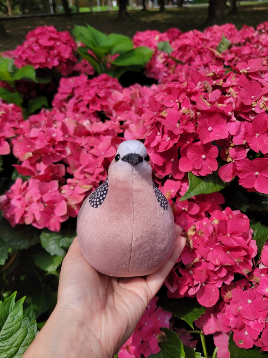 icecream80810's tweet image. カノコバト
Spotted dove

2024.4.7
#bird #animal #plush #plushie #ぬいぐるみ #dove #ハト