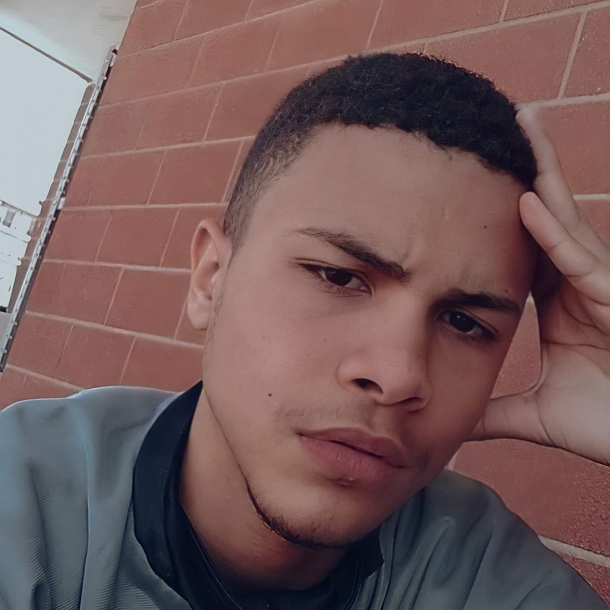 daniel 🇧🇷🇮🇹 tweet media