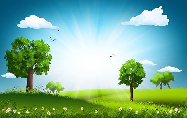 Carla Palluck tweet media