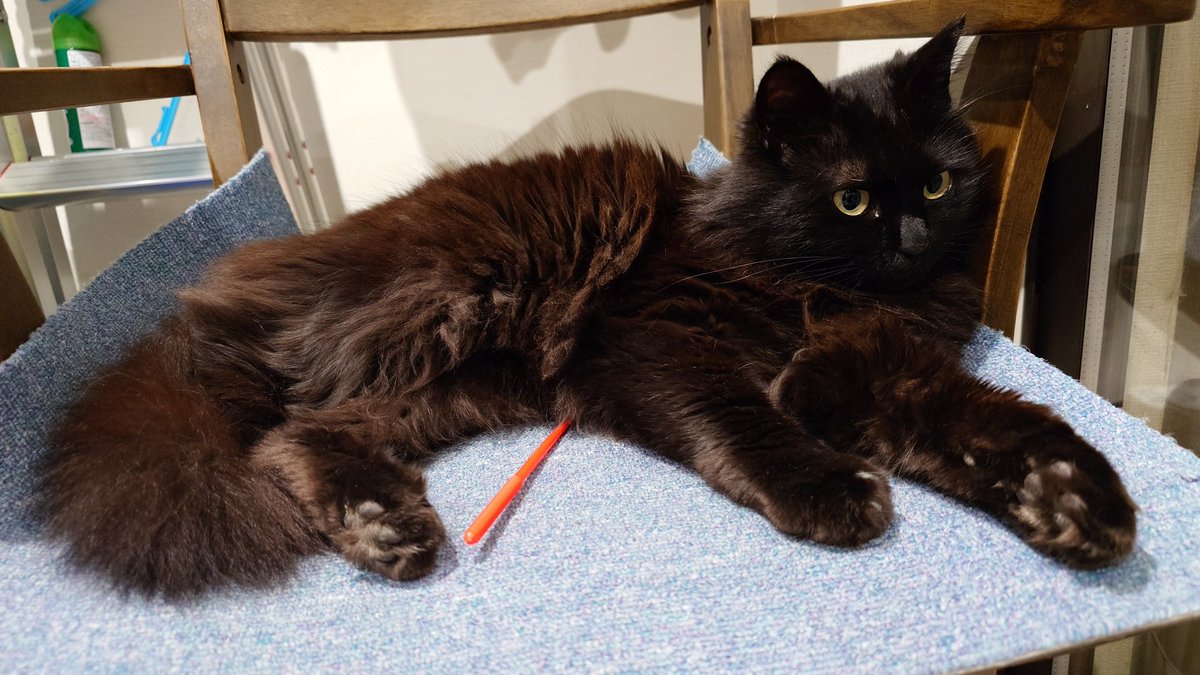 もんぷち tweet media