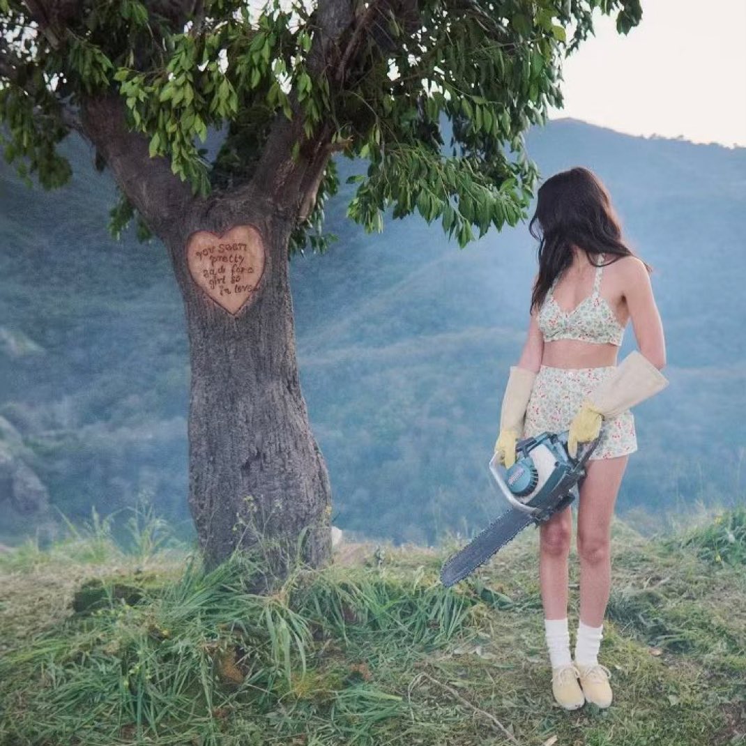 simvi²⁸ ₊˚໑̣ tweet media