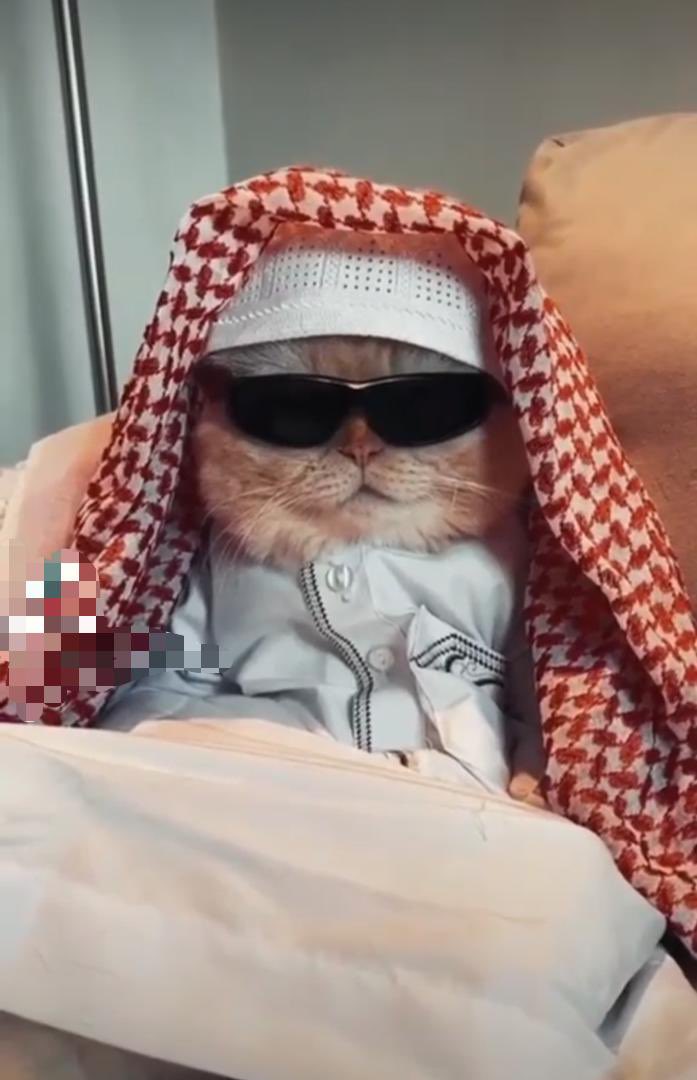 Gracie💕❤️ tweet media