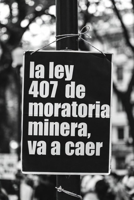 El Loro De Panamá Es Verde tweet media