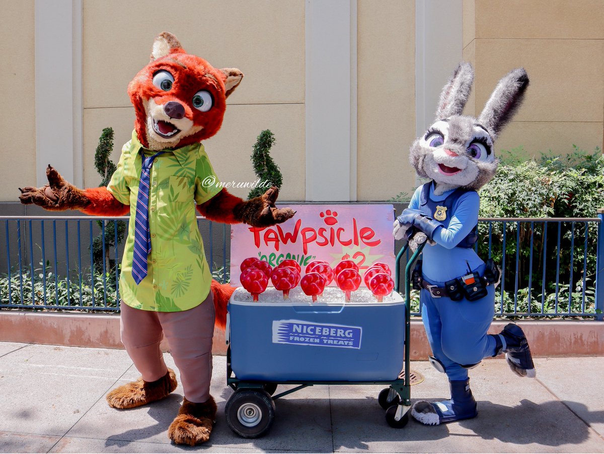 メル🦊🐰 tweet media