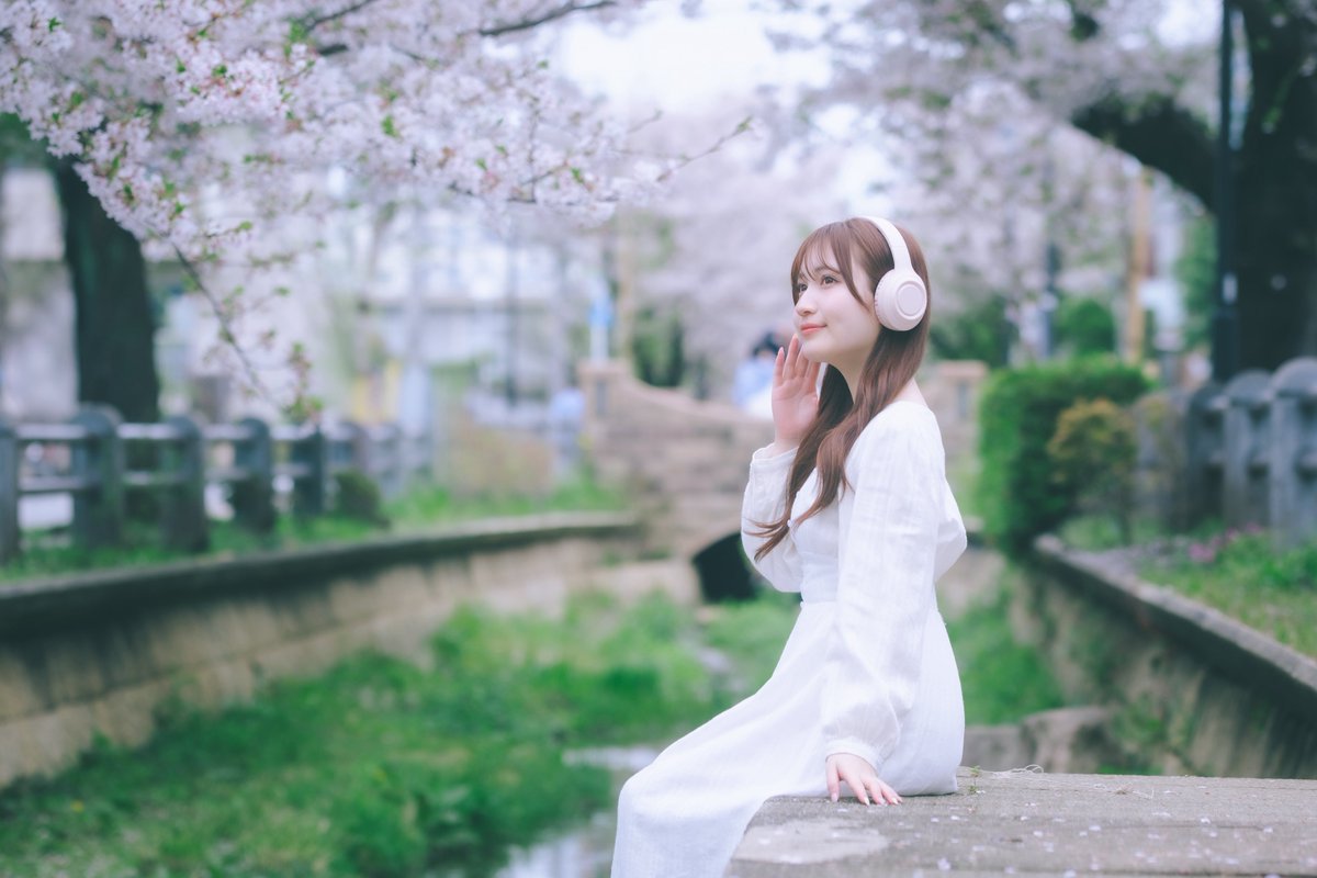 maru_no_photo's tweet image. ..
桜が降る夜は

モデル はるかさん
@PHOTOMOhm

#PHOTOMO撮影会
@PHOTOMO_labory