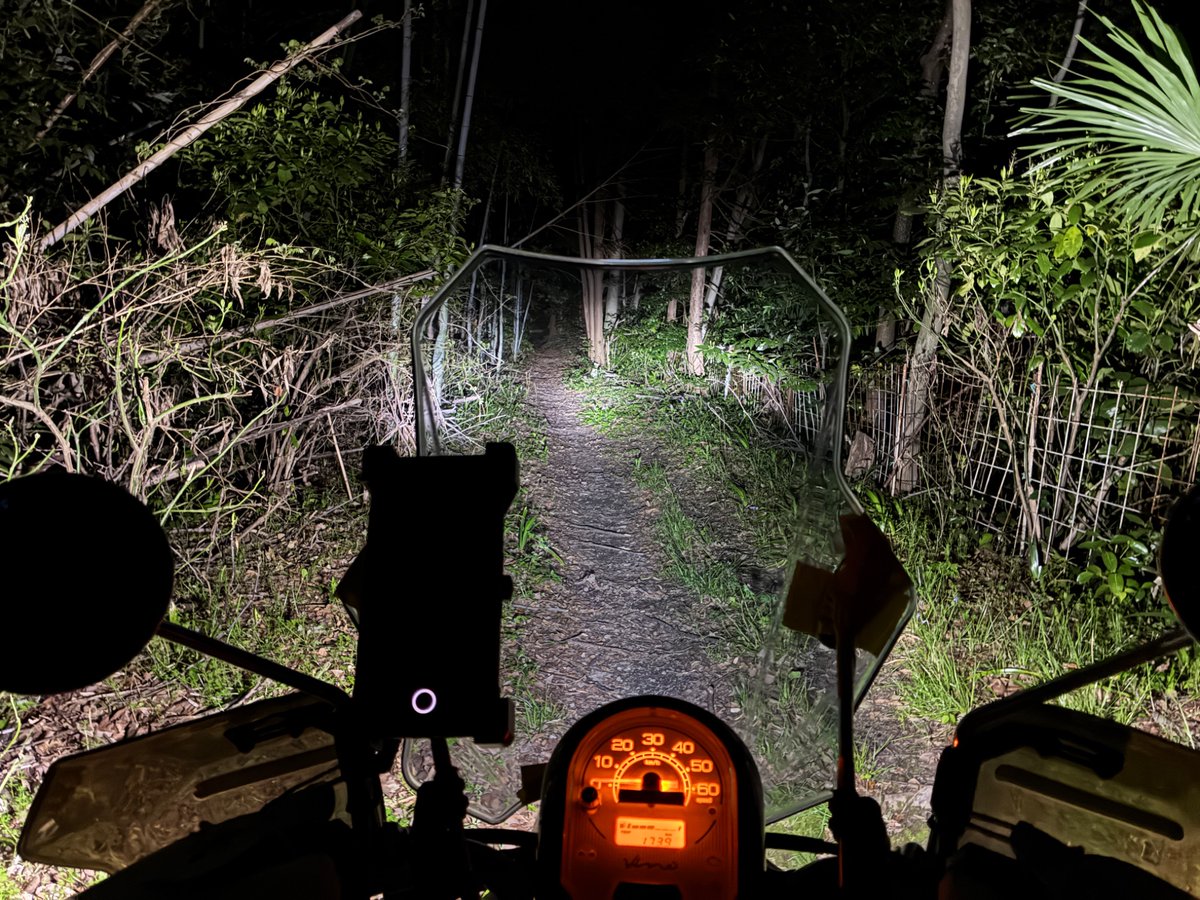 ゆくら tweet media