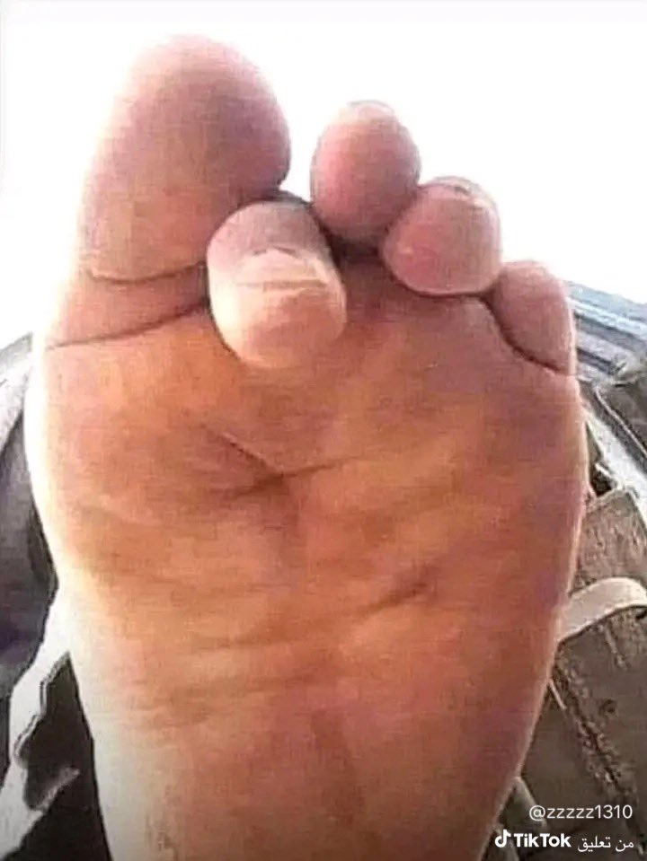 متعب tweet media