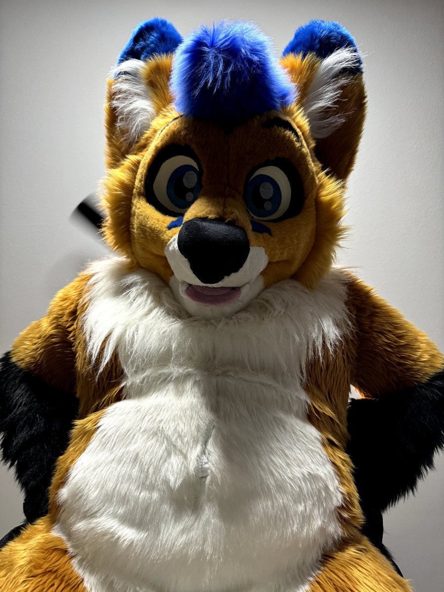 AeroFox🦊 tweet media