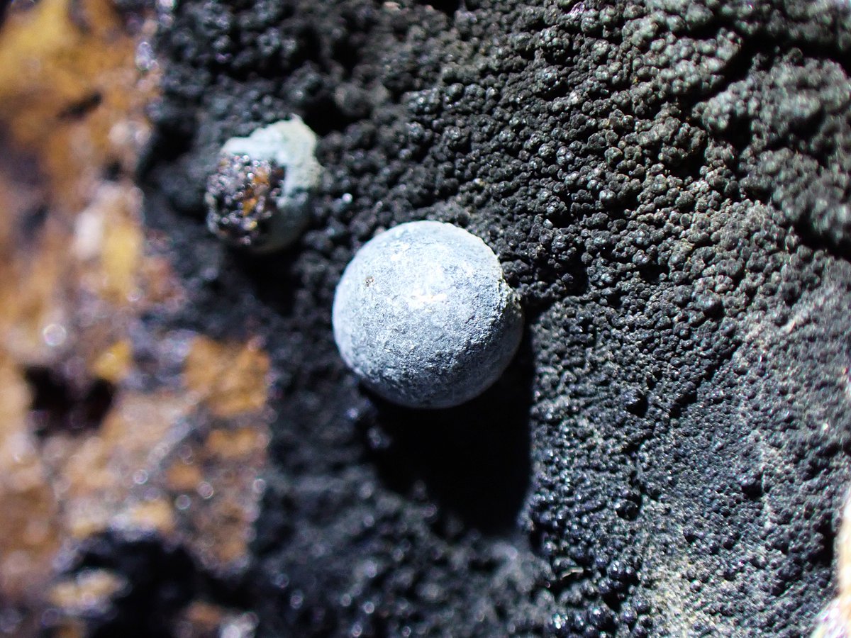 うらしー tweet media